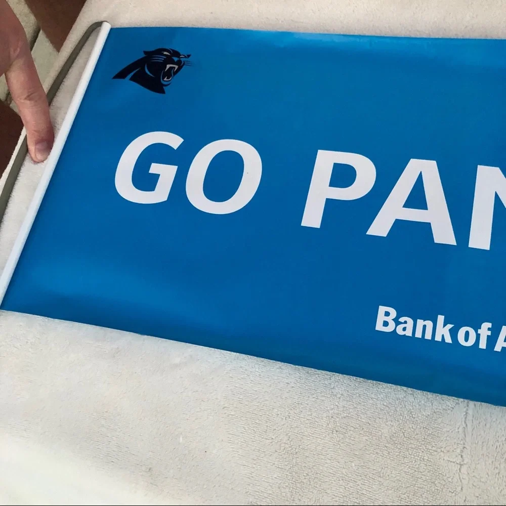 NFL carolina panthers